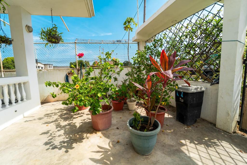 Pangora, habitación privada de Flor de Lis Beach House - 5