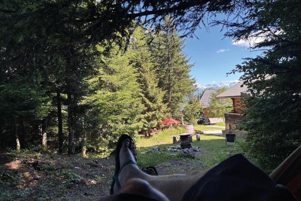 Chalet Clair Bois - La Féclaz avec bain nordique privé - 4
