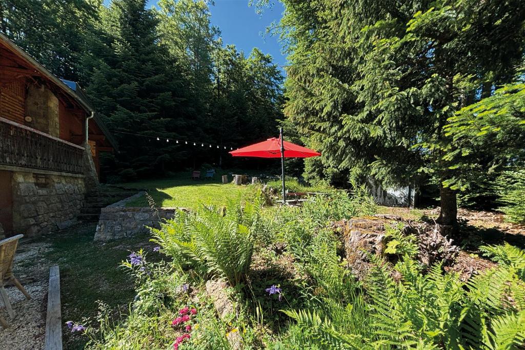 Chalet Clair Bois - La Féclaz avec bain nordique privé - 2