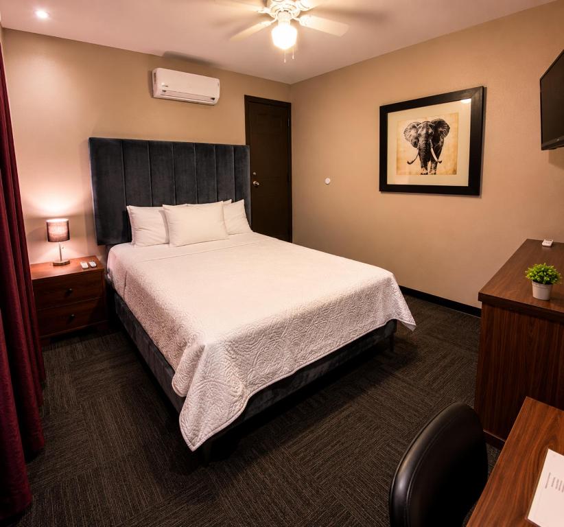 Barrio Inn Morelos - 1