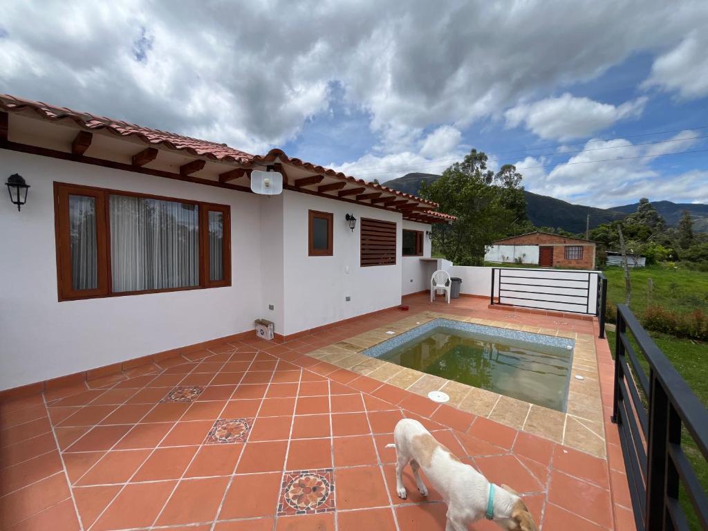 Casa Silvestre - 5