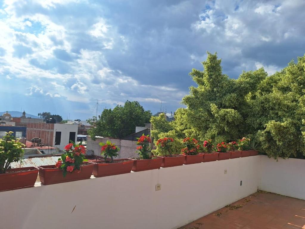 comfortable, spacious, central with a pool and terrace - 2