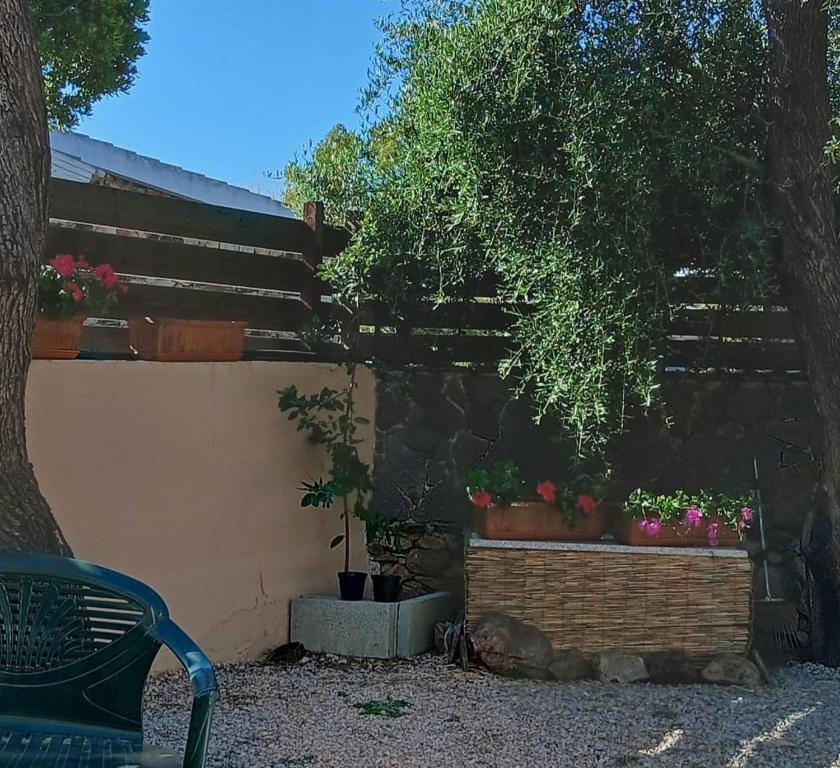 San Teodoro Holiday Rooms - 3