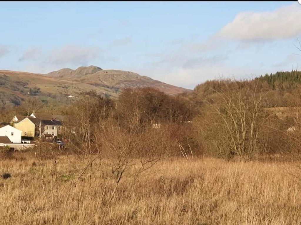 Haven of Trees - Hafan Y Coed photo 7