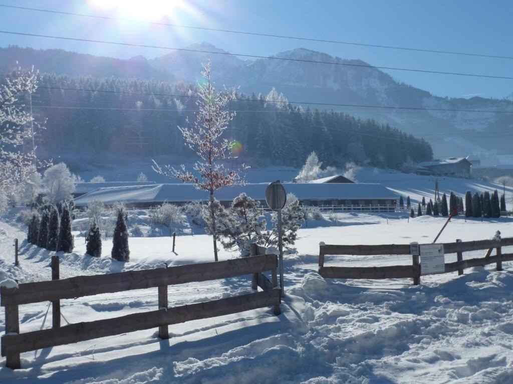 GUT das Edelweiss Zell am See - Kaprun - 3