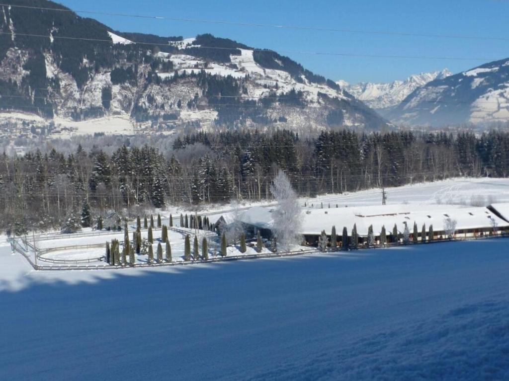 GUT das Edelweiss Zell am See - Kaprun - 2