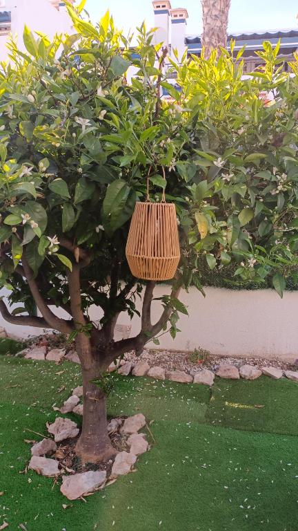 Villamartin Costa Blanca - 5