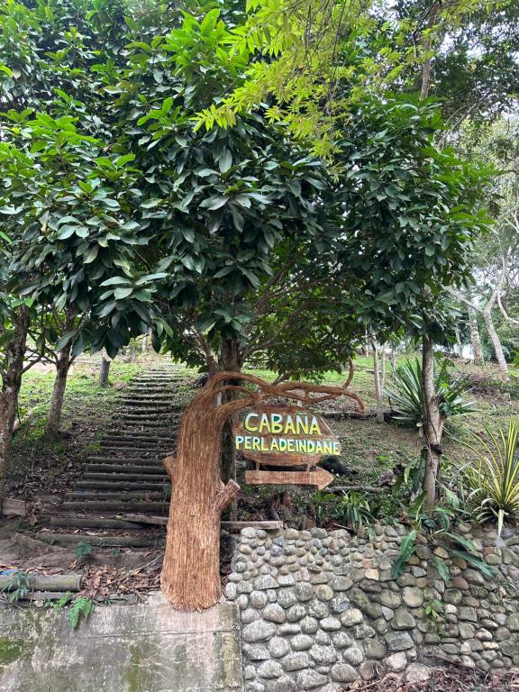 Cabaña Moyobamba - 3