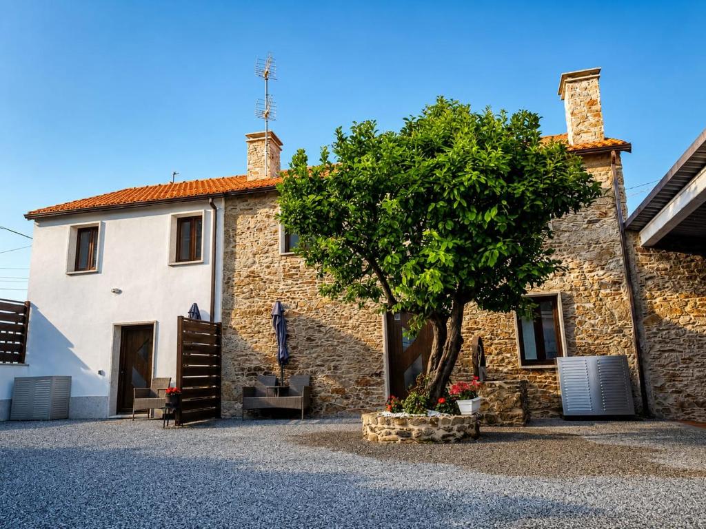 Casa Brins - 3