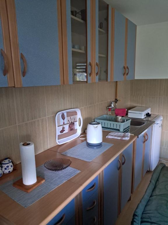 Apartman Amila free parking - 5