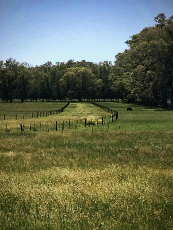 Petion Polo Ranch - 2