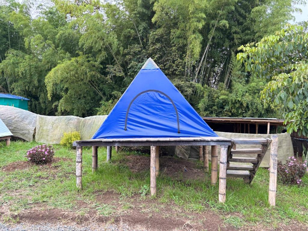 Camping El Paraiso - 4
