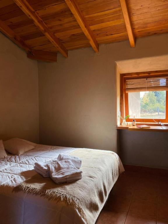 Posada La Tregua - 2
