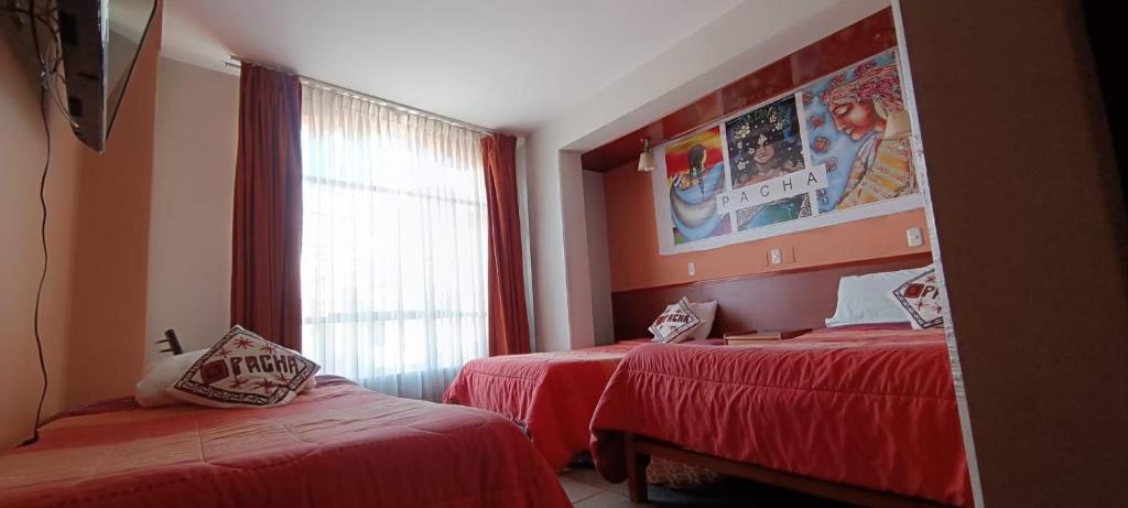 Pacha Confort - 3