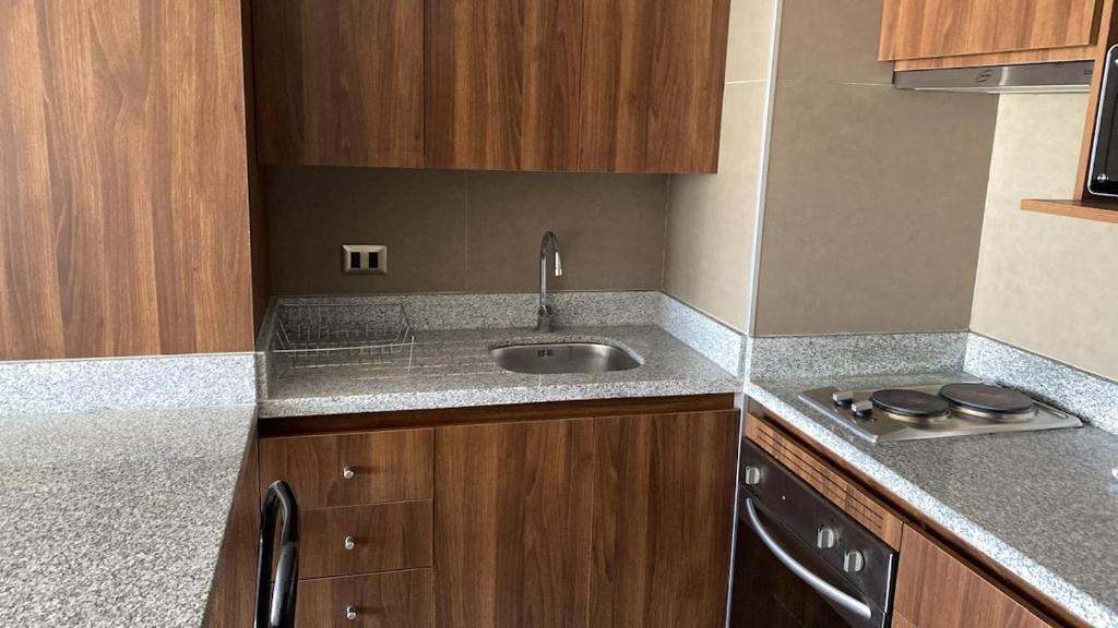 Arriendo diario lindo depto, cómodo y central - 4