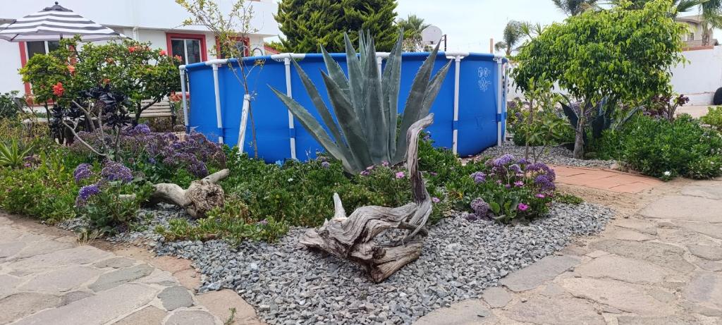 Casa Lagunita - 2