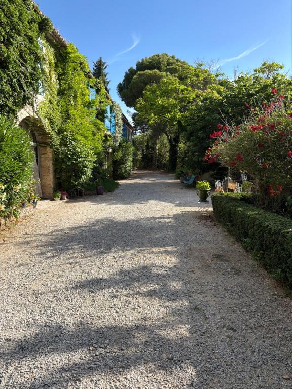 Parenthèse calme et nature à Narbonne - 5