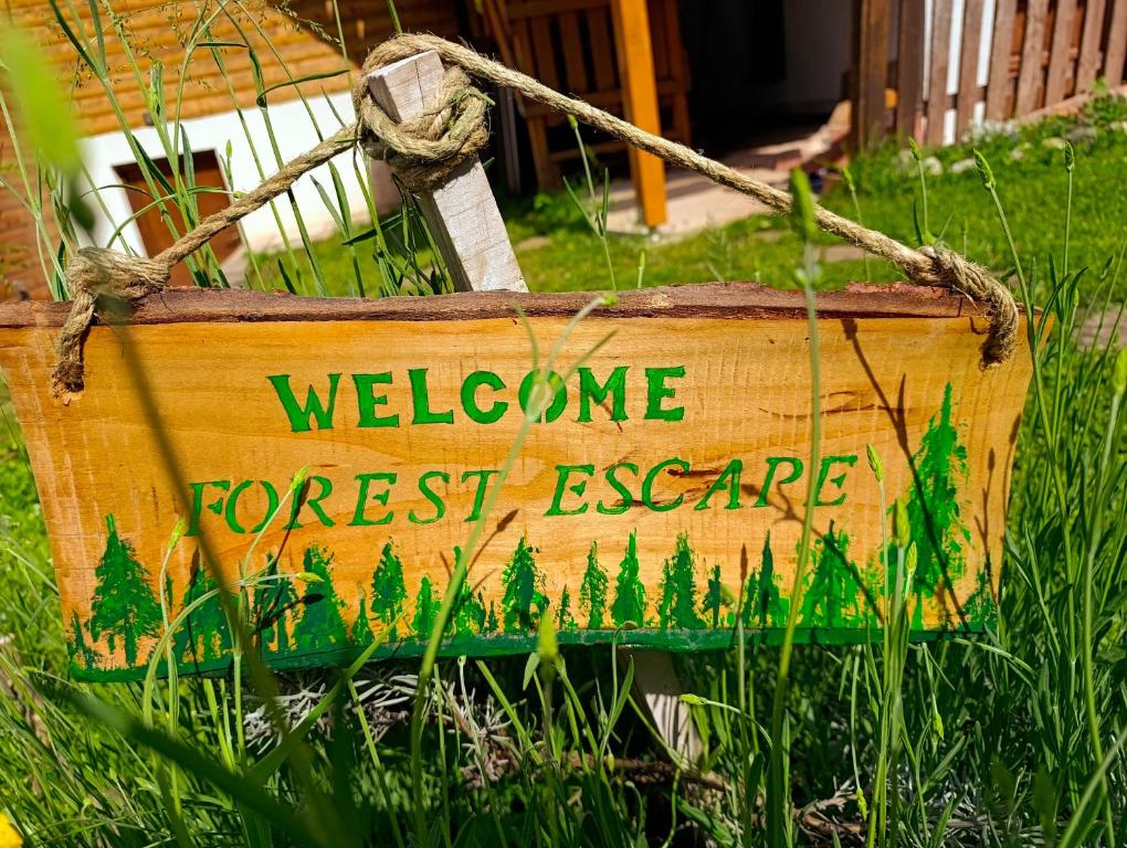 Forest Escape - 2