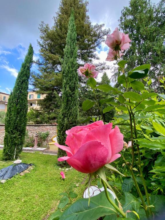 Gelso Rosso, Romantic stay in the Old Garden - 5