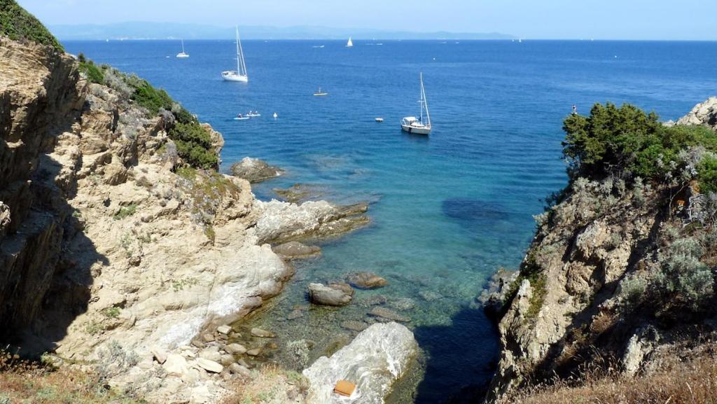 T1 - Presqu'île de Giens - La Tour Fondue - 4