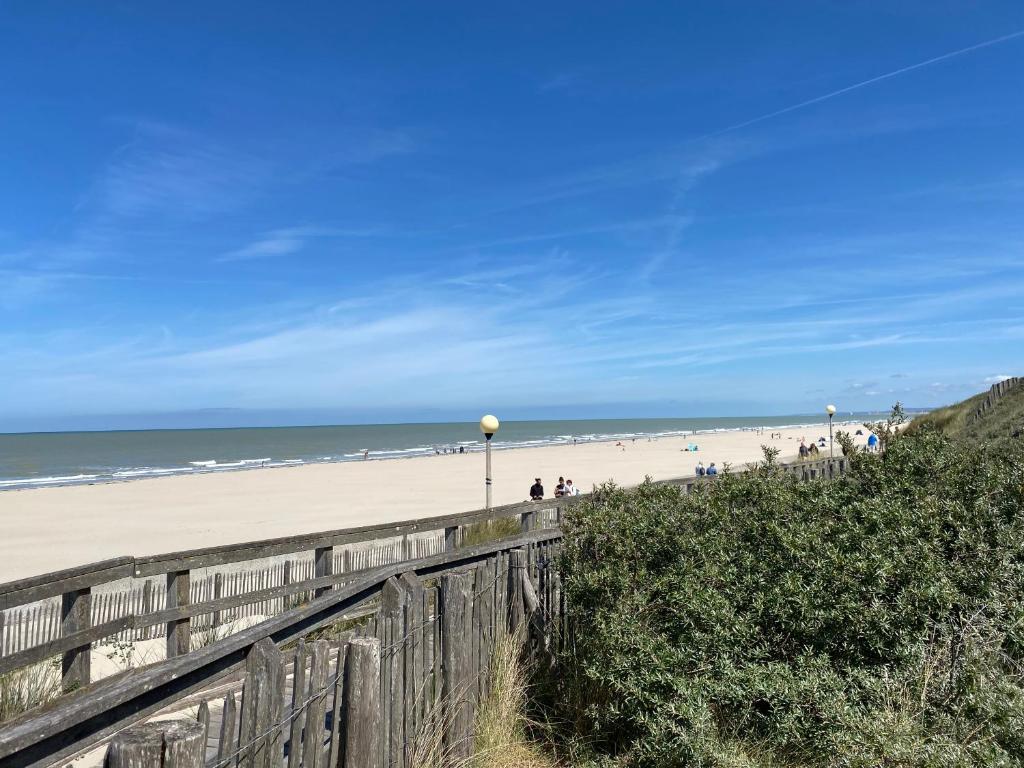 L'Altéia - L'appartement les pieds dans l'eau avec place de parking et accès direct plage - 5