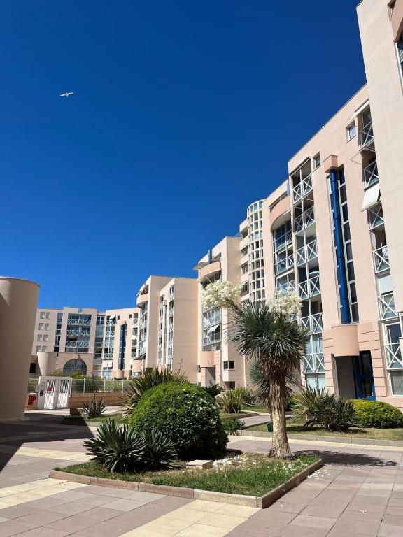appartement Sète vue sur mer piscine - 2
