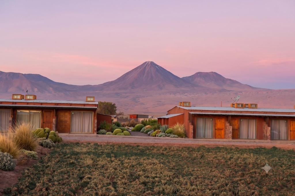 Eltoconar atacama - 1