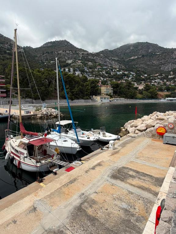 Nuit insolite à bord d'un voilier - 2
