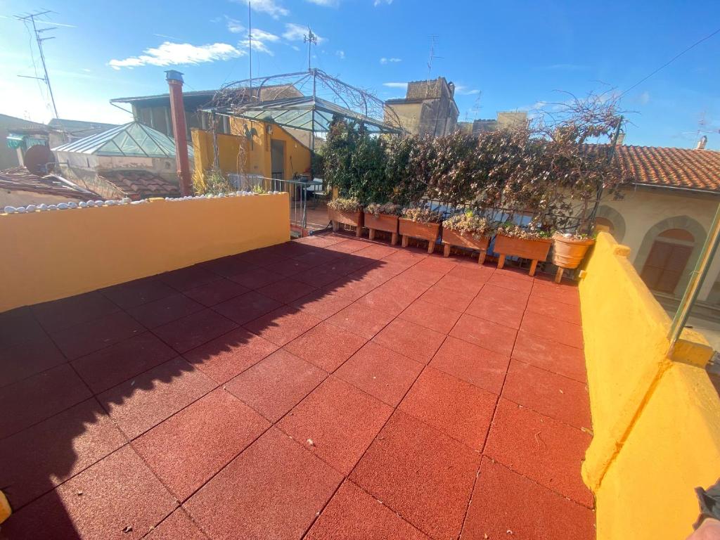 Green terrace on the roofs - 5