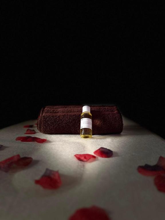 Villa Romance Intime Prestige -Jacuzzi Privatif, , Table a massage , Fauteuil tantra, Balançoire romantique - 4