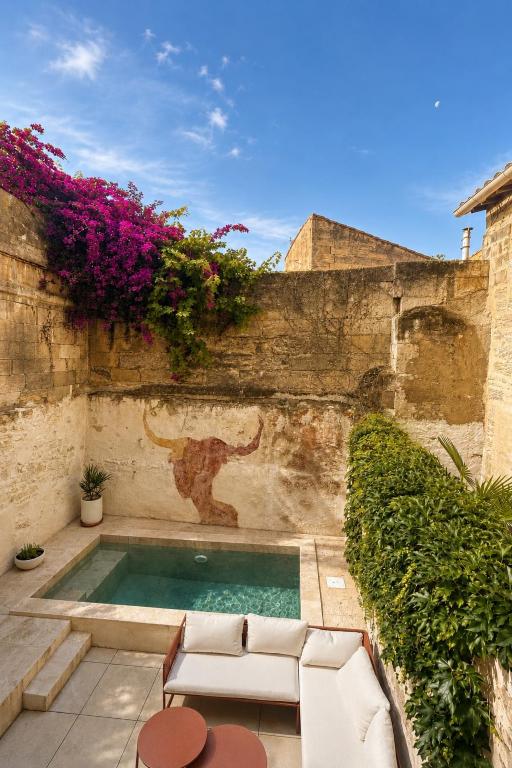 Town House with Private Pool in Arles Center - 3