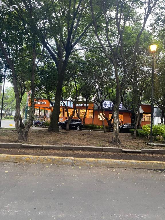 Comfortable studio 20 minutes from Estadio Azteca - 1
