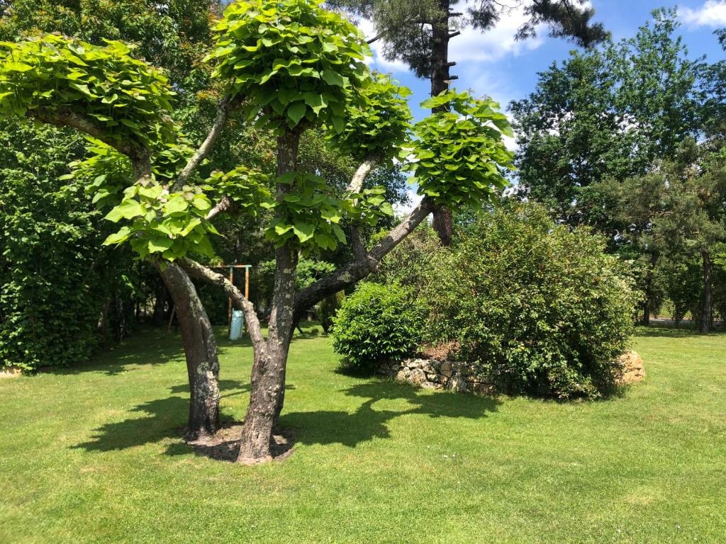 Villa au milieu des pins climatisée - 5