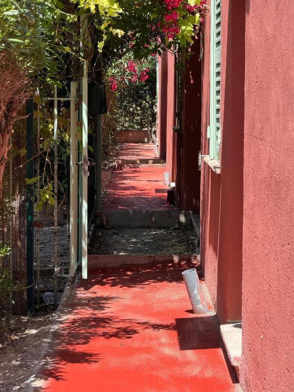 Le Patio des Papes - 3