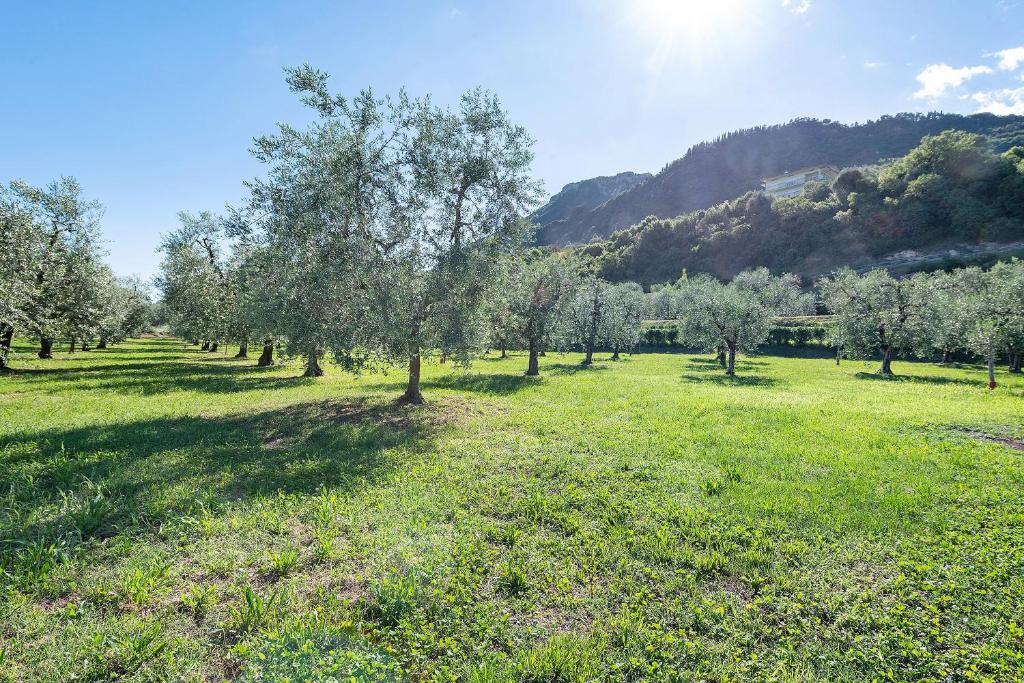 Agriturismo Casa Irma - 3