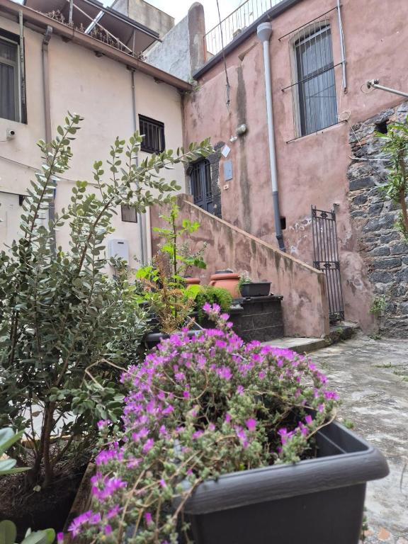 Agatha House - 1