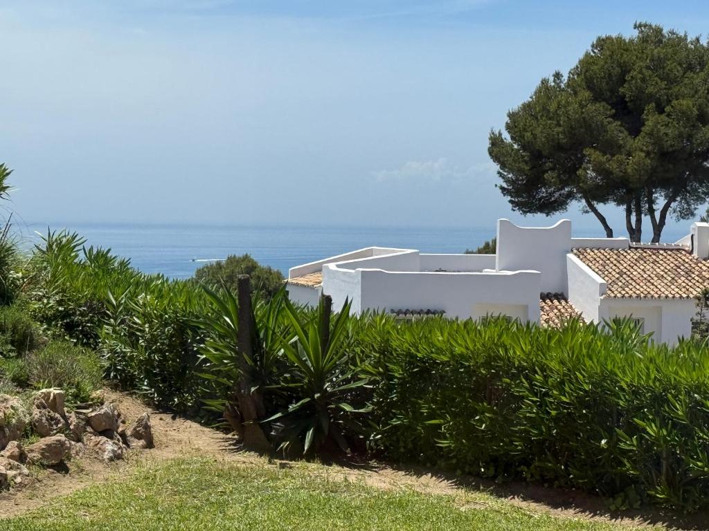 Sea View Oasis in Rancho Mirafloress - 5