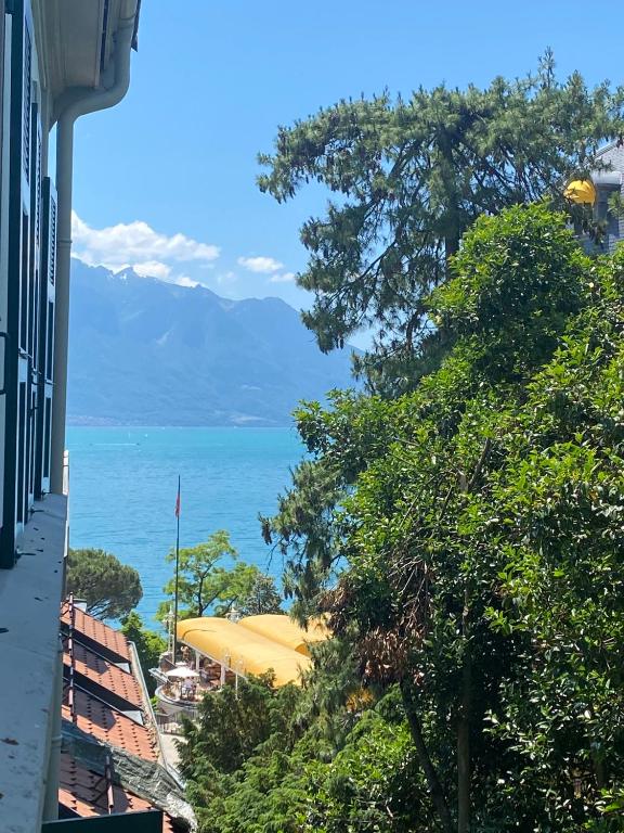 Appartement vue lac Montreux - 1