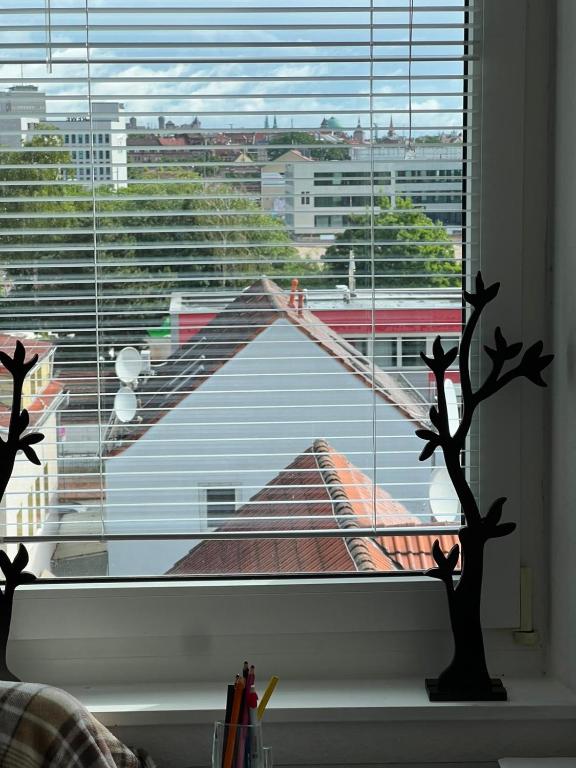 Gemütliche Ferienwohnung nahe dem Stadtzentrum und U-Bahn - 3