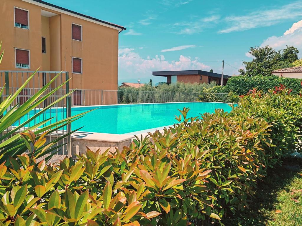 La casa di Viola - 4