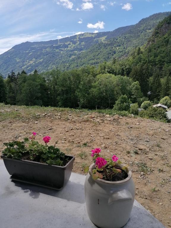 Studio La Gentiane - 5
