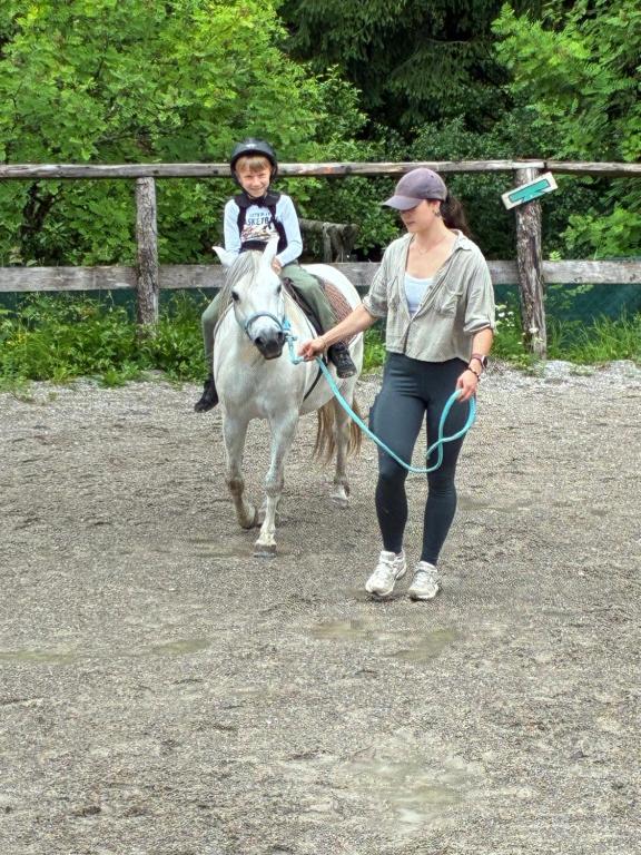Pferdehof Almgut - Reiten für Kinder, Natur und Erholung nahe Salzburg - 2