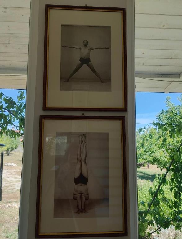 Sole e Cerase - Vacay Home in Apulia - 2