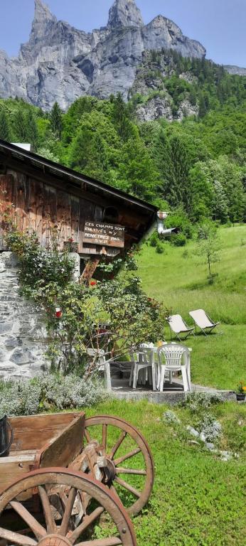 Chalet la corne du chamois - 2