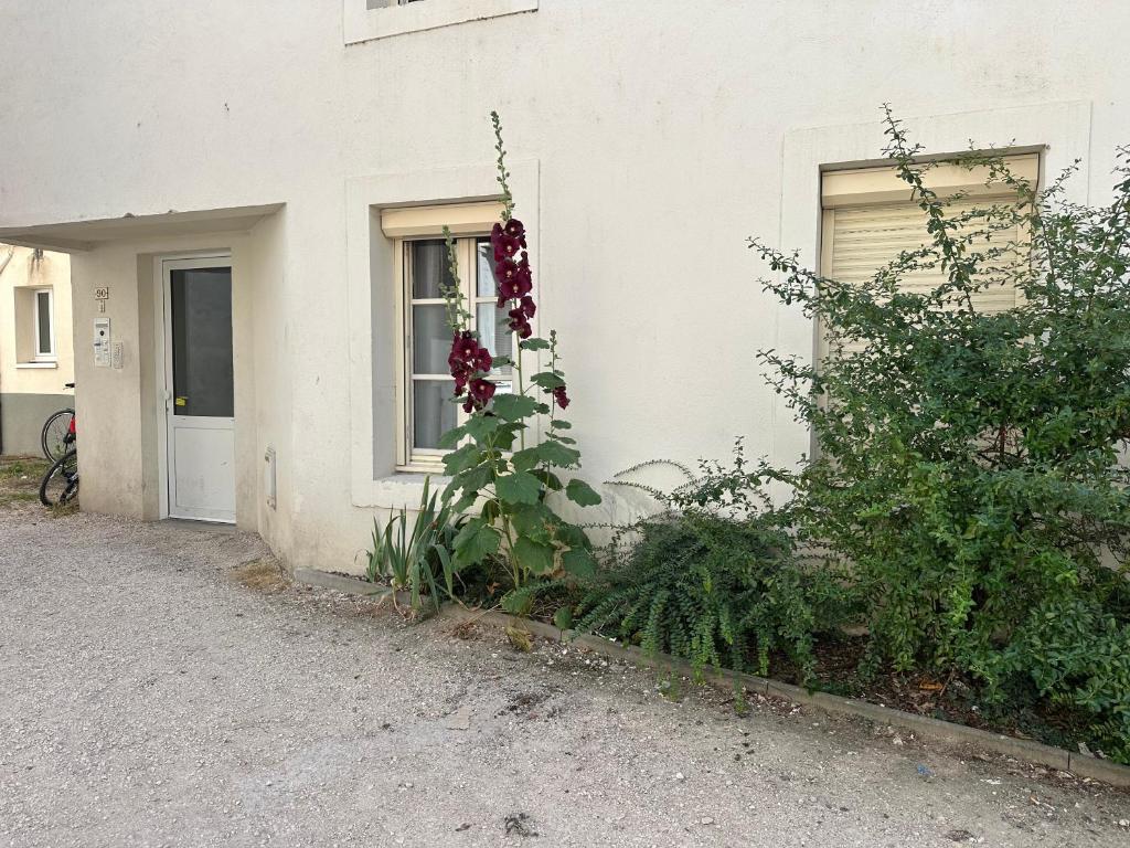 Le Studio des Ducs - 2