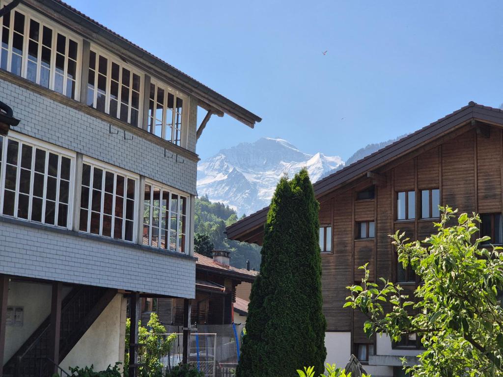 Alpine Bliss Studio - 2