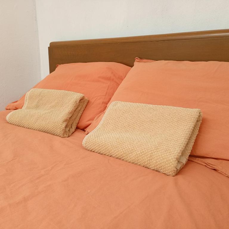 Los Frutos de la Tierra - Habitación matrimonial - Hostal Kahlo Coyoacán - 4