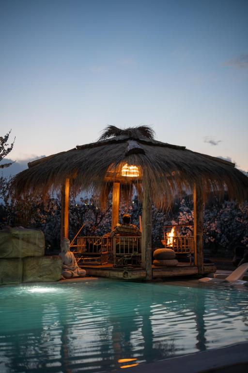 Bali Andino Experience - 1