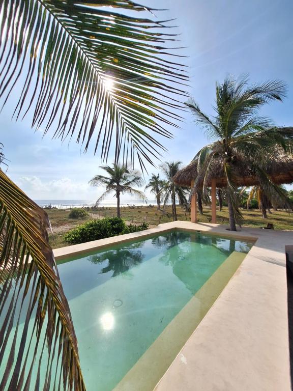 Casa Icaco, Naturaleza y calma junto al mar - 3