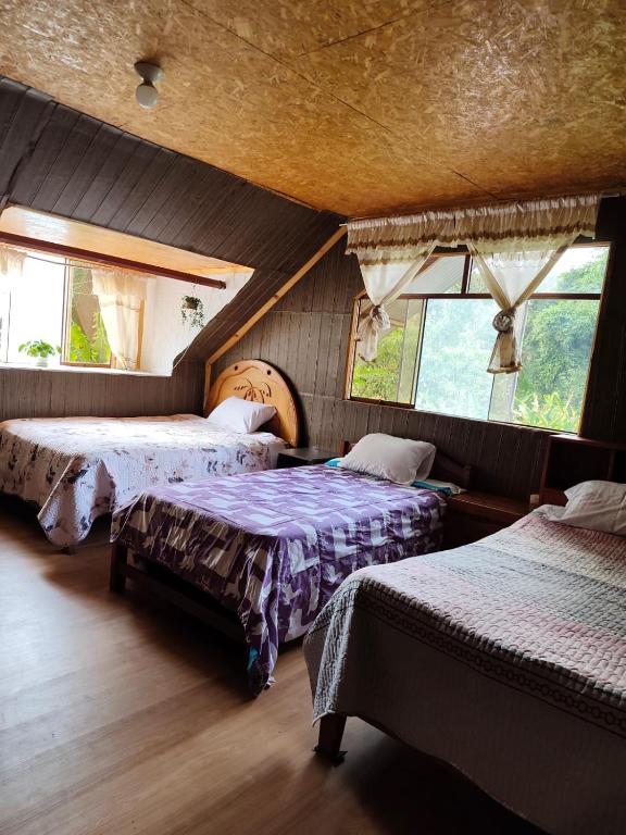 Yanesh Haus habitaciones Oxapampa - 2